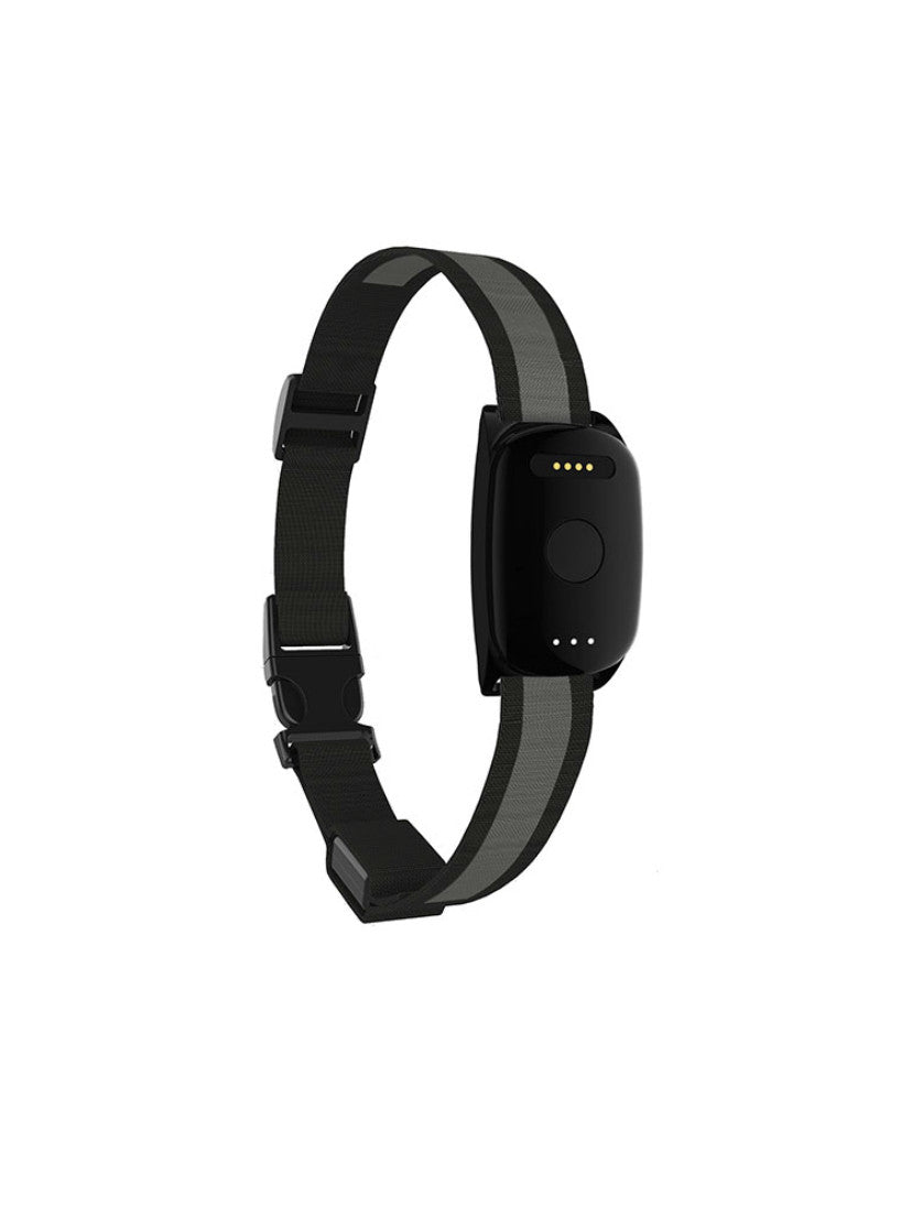 Gps para Mascotas (Perros y Gatos)